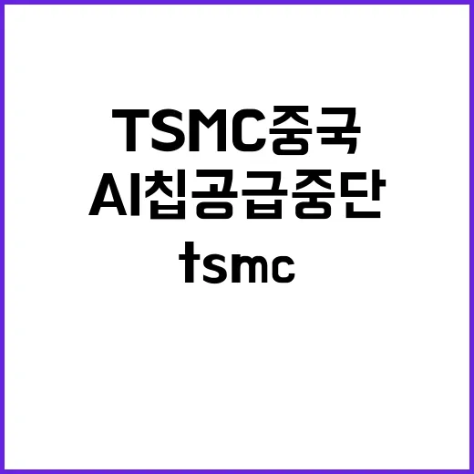 TSMC 중국 AI…