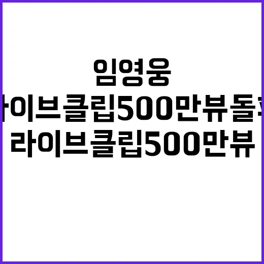 임영웅 라이브 클립…