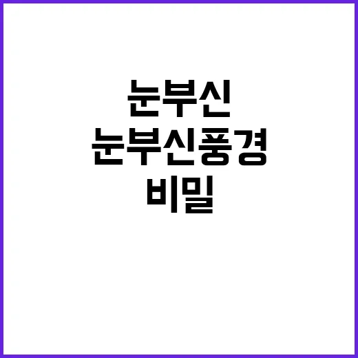 눈부신 풍경 익숙함…