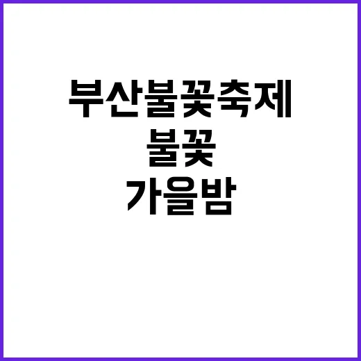 부산불꽃축제 가을밤에 불꽃 8만 발의 향연!