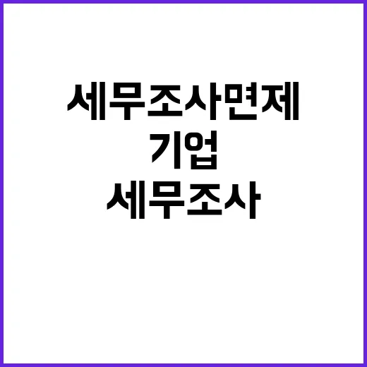 일자리 늘린 기업 세무조사 면제 조건 공개!