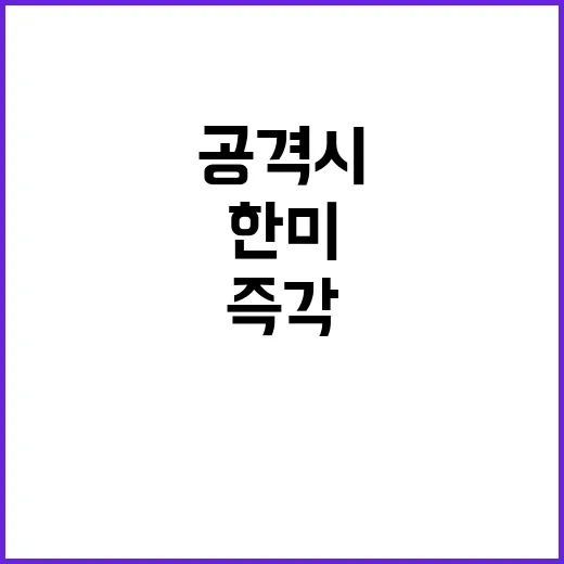 핵타격 한미동맹 북…