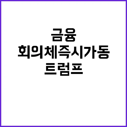 금융 회의체 즉시 …