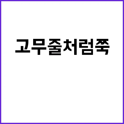 신기술 LG디스플레…