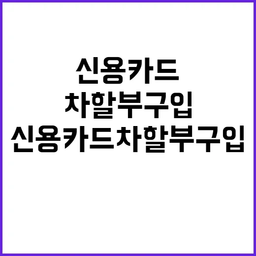 신용카드 차 할부 구입 금융당국의 강력 대응!