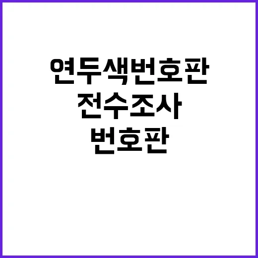 연두색 번호판 합법적 사용 여부 전수조사 시작!