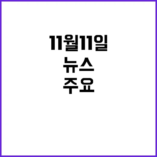 뉴스투나잇 11월 …