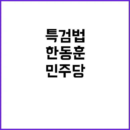 한동훈 특검법 왜 …