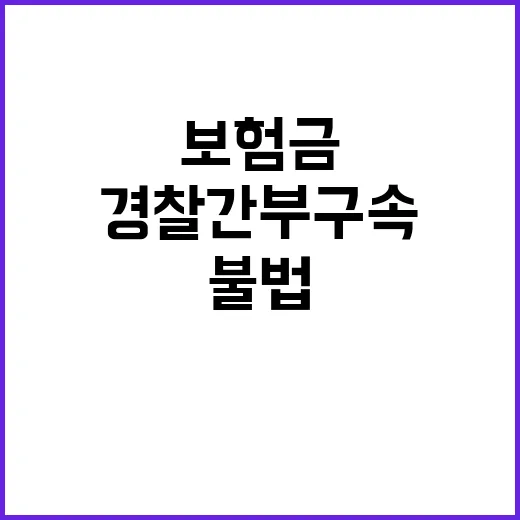 불법 보험금 경찰 …