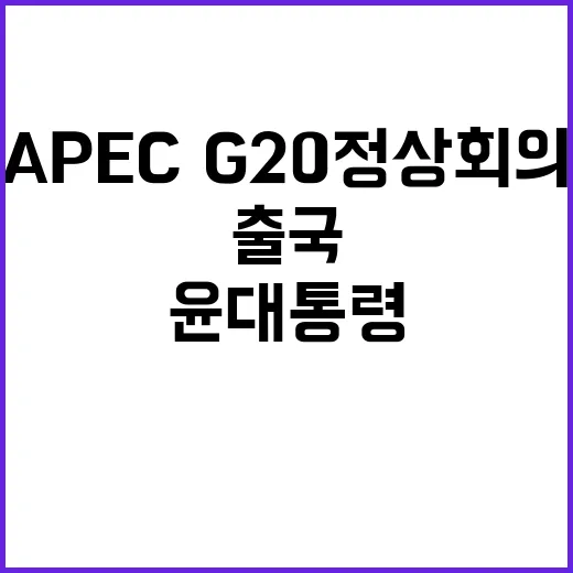 APEC·G20 정…