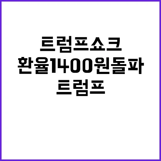 트럼프 쇼크 환율 …