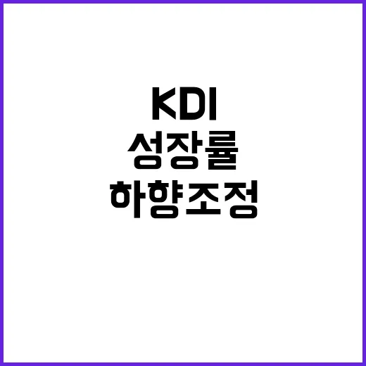 내수 한겨울 KDI…