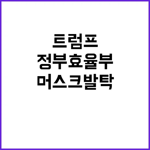 정부효율부 머스크 …