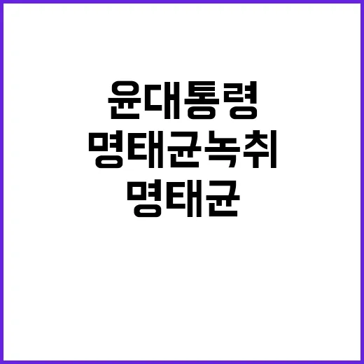 명태균 녹취 윤 대…