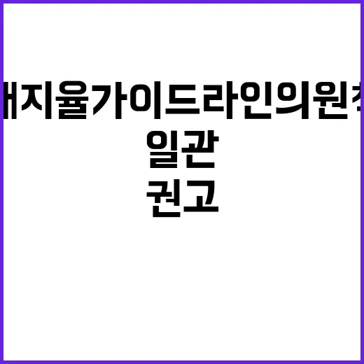 “해지율 가이드라인…