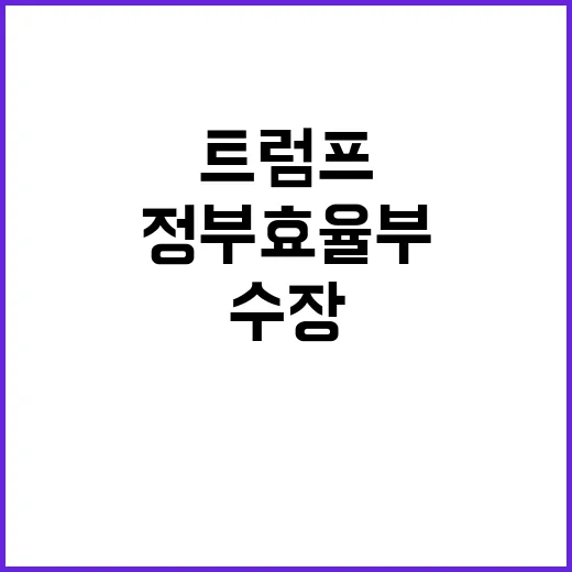 위드마크 실패 술타기 확산은 무엇인가?