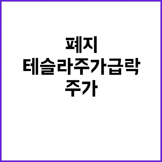 테슬라 주가 급락 이유는 세액공제 폐지!