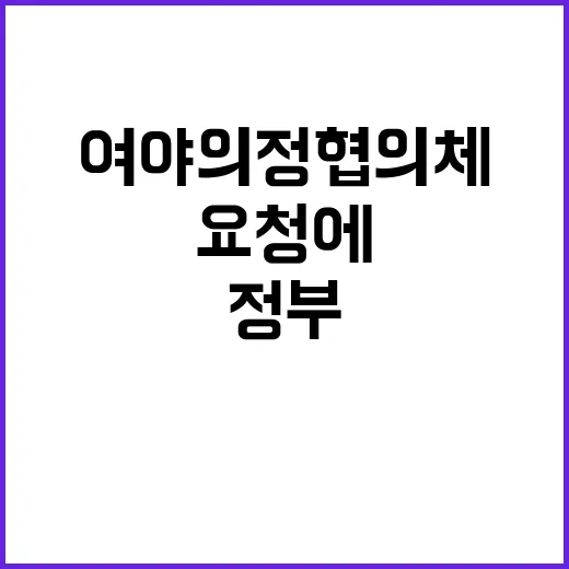 여야의정협의체 정부 요청에 대한 결과 기대감 상승!