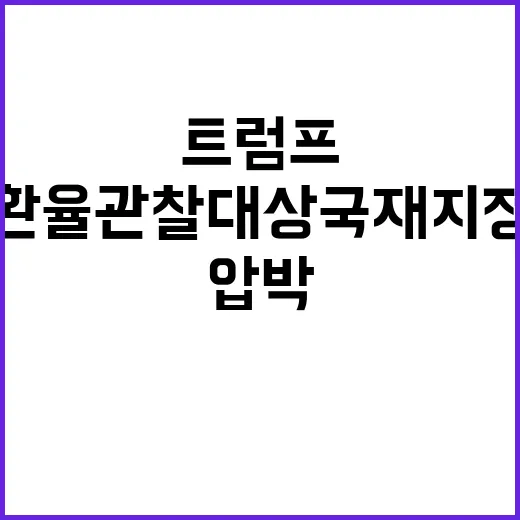 환율 관찰대상국 재…