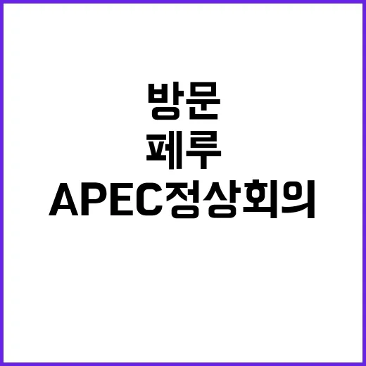 APEC 정상회의 …