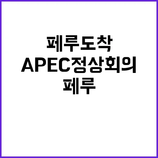 APEC 정상회의 …