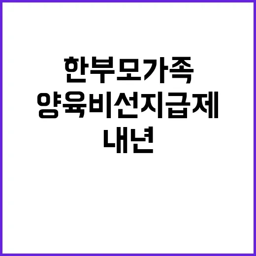 양육비 선지급제 내년 한부모가족의 희망!