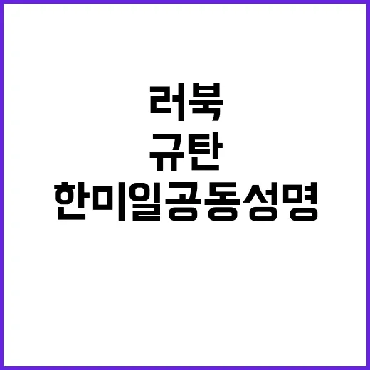 한중 정상회담 한미…