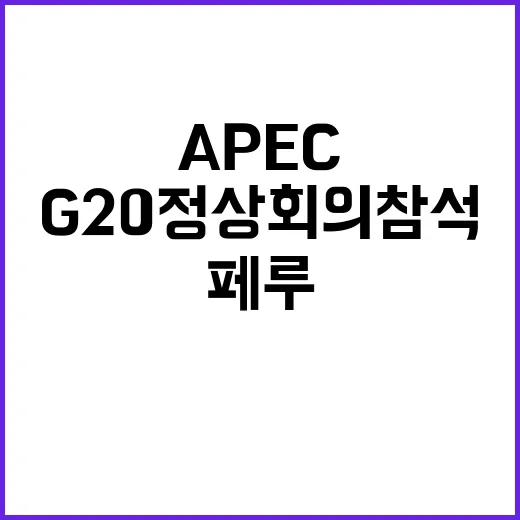 APEC 회의 페루…