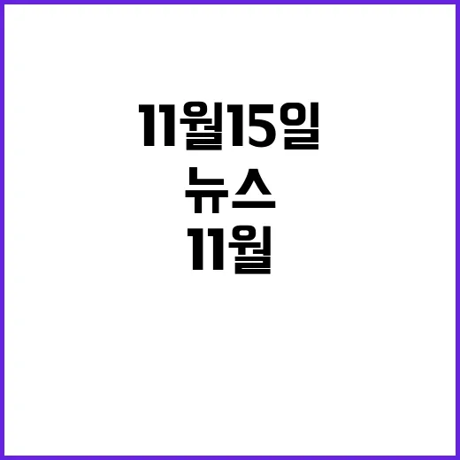 뉴스투나잇 11월 15일 놀라운 사건들 공개!