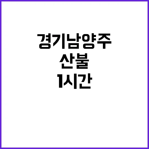 산불 경기 남양주 야산서 1시간 40분 만에 진화!