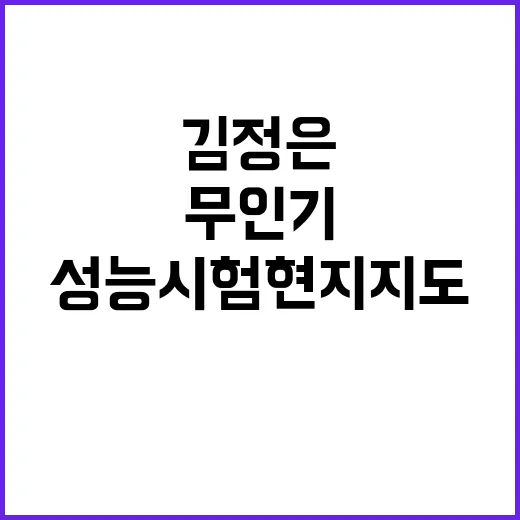 무인기 김정은의 성…