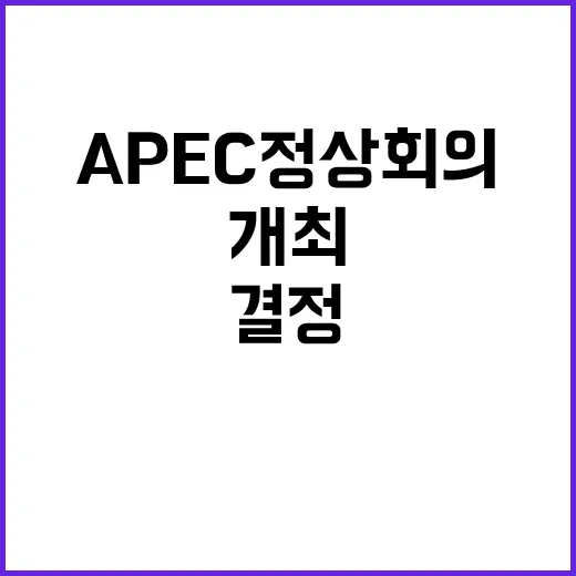 APEC 정상회의 …