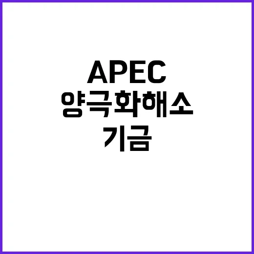 양극화 해소 청년 지원을 위한 APEC 미래기금 설립