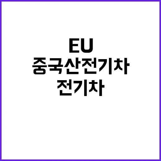 중국산 전기차 EU…