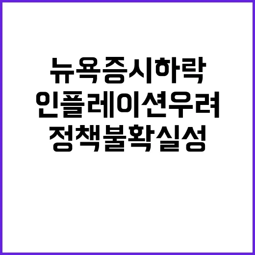 뉴욕증시 하락 정책…