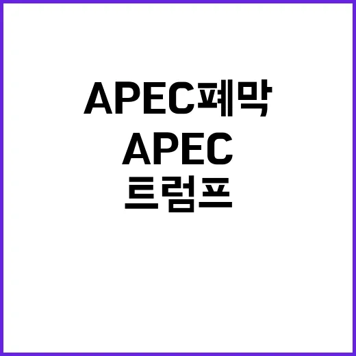 다자무역 지원…APEC 폐막 후 트럼프 경제 경계