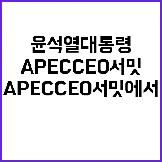 윤석열 대통령 APEC CEO 서밋에서의 강력한 메시지!