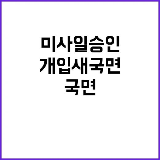 미사일 승인 미국 …