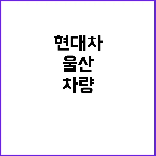 울산 현대차 차량실…