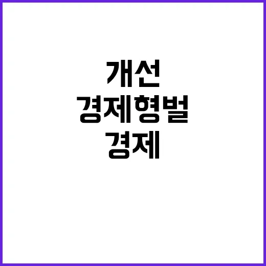 경제형벌 개선과제 …