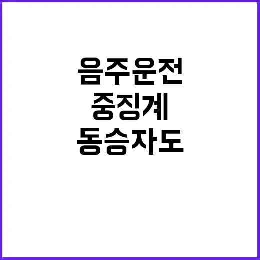 음주운전 처벌 동승…