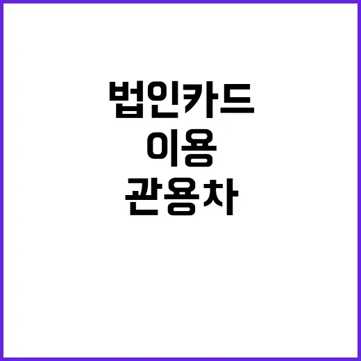 법인카드 사용 관용…