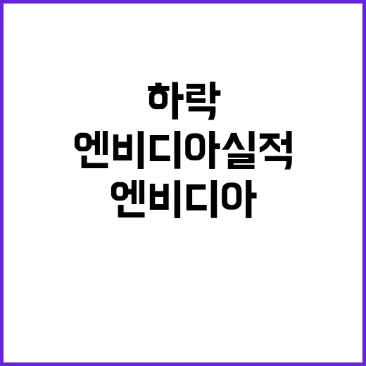 엔비디아 실적 주가…