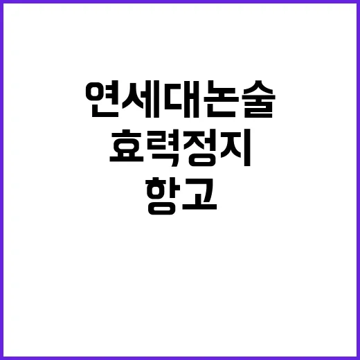 연세대 논술시험 효…