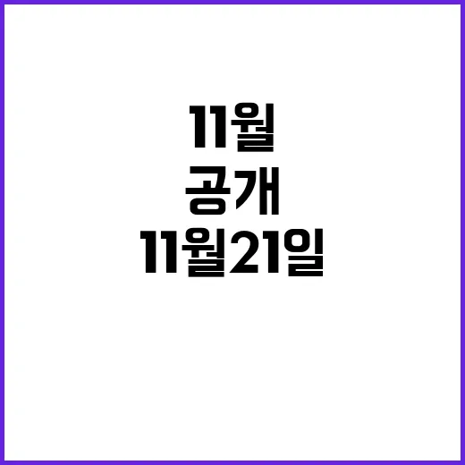 라이브투데이 11월…