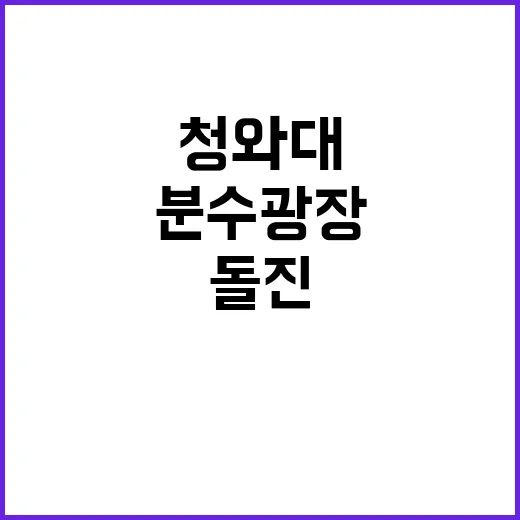 청와대 분수광장 돌…