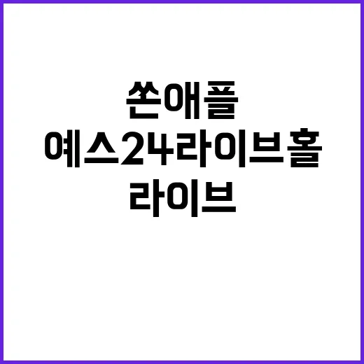 쏜애플 12월 예스24 라이브홀에서 특별한 공연!