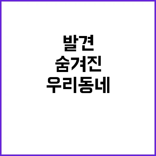 착세권 우리 동네의 숨겨진 보물 발견!