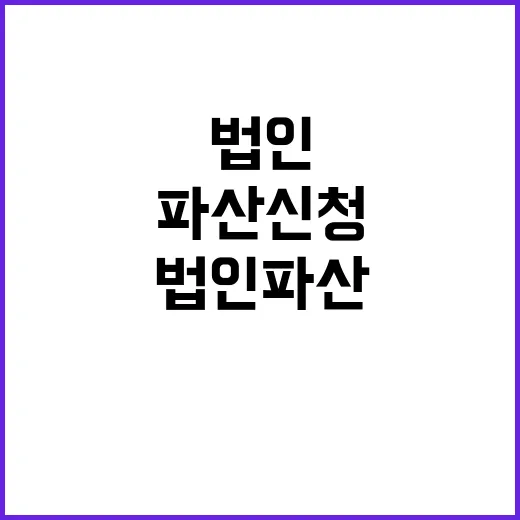 법인 파산 신청 감소세의 진실은?