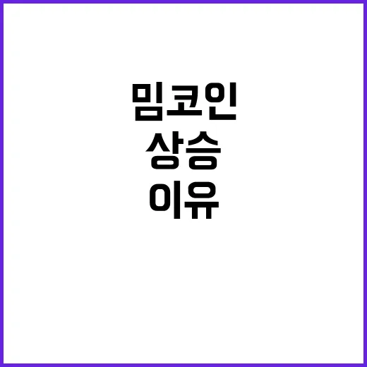 밈코인 폭발적 상승…투자자들 긴장해야 할 이유!